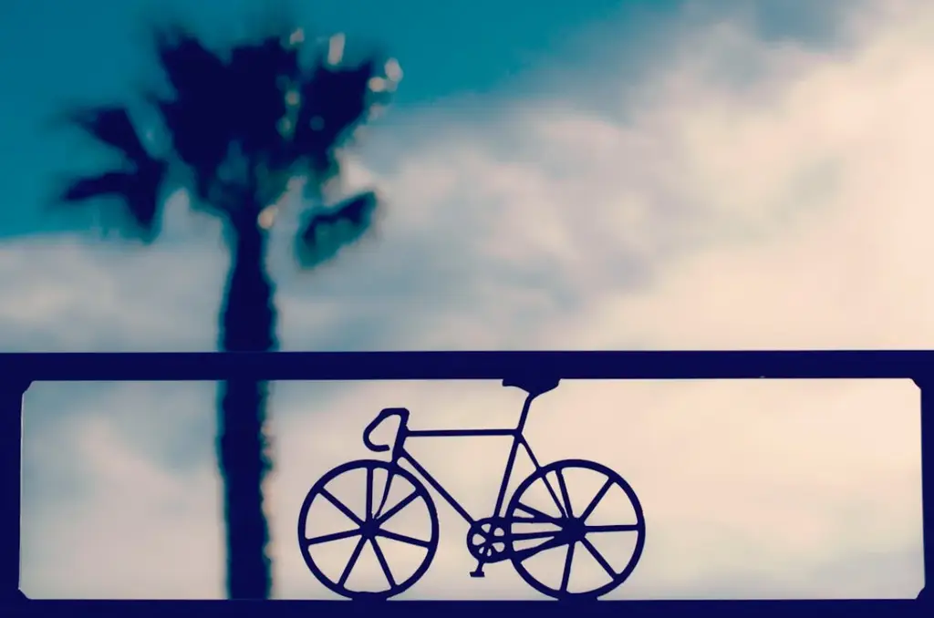 騎公路車會駝背嗎?全方位解析公路車與姿勢的關係